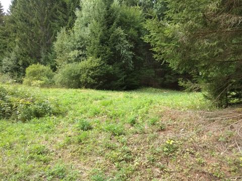 Foto 42